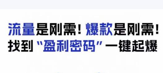 电商盈利精品课：6大盈利密码让产品更好卖，流量是刚需！爆款是刚需！找到”盈利密码”一键起爆-一点通资源网