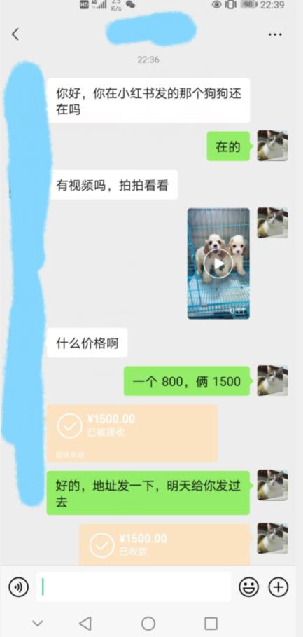外边收费3980的同城萌宠项目，用最冷门的玩法冲击最热门的市场【揭秘】-一点通资源网