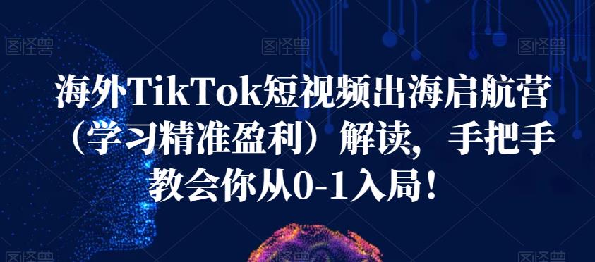 海外TikTok短视频出海启航营（学习精准盈利）解读，手把手教会你从0-1入局！-一点通资源网