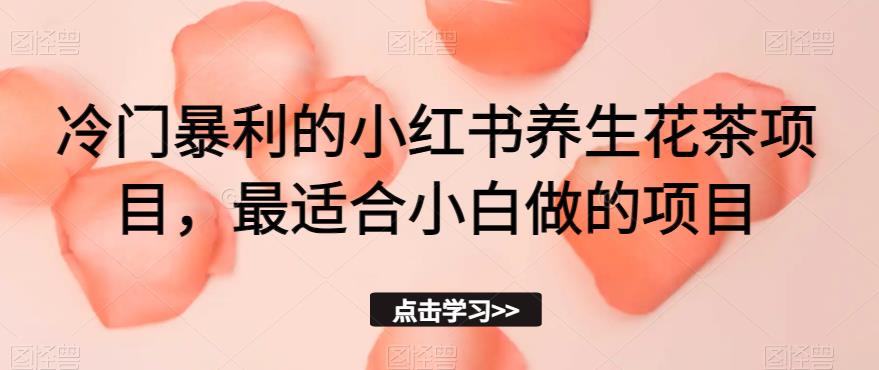 冷门暴利的小红书养生花茶项目，最适合小白做的项目【揭秘】-一点通资源网
