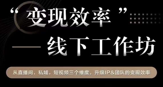 变现效率线下工作坊，从‮播直‬间、私域、‮视短‬频‮个三‬维度，升级IP和团队变现效率-一点通资源网