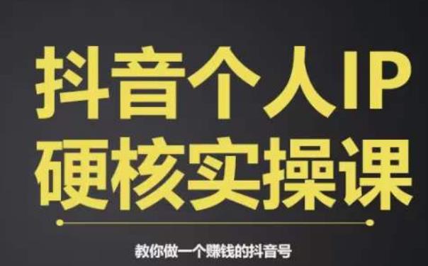 个人IP创富系统实战课，商业定位，流量打造，短视频变现，教你做个赚钱的抖音号-一点通资源网