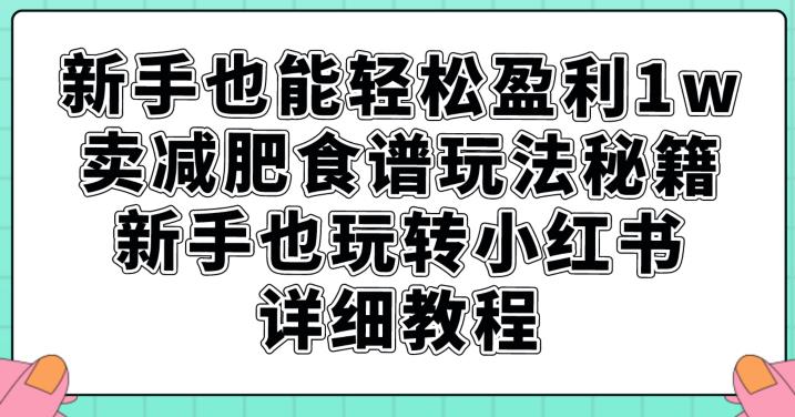 新手也能轻松盈利1w，卖减肥食谱玩法秘籍，新手也玩转小红书详细教程【揭秘】-一点通资源网