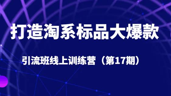 打造淘系标品大爆款引流班线上训练营（第17期）5天直播授课-一点通资源网