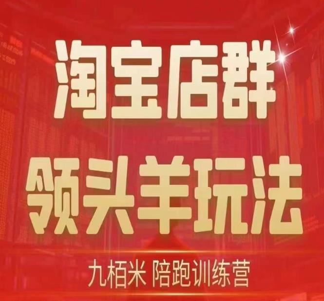 九栢米-淘宝店群领头羊玩法，教你整个淘宝店群领头羊玩法以及精细化/终极蓝海/尾销等内容-一点通资源网