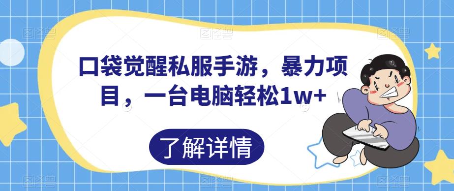 口袋觉醒私服手游，暴力项目，一台电脑轻松1w+【揭秘】-一点通资源网