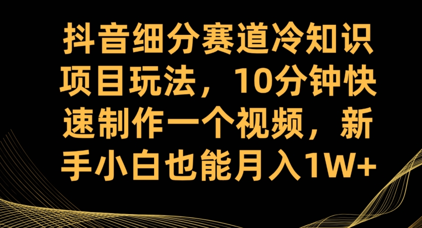 抖音细分赛道冷知识项目玩法，10分钟快速制作一个视频，新手小白也能月入1W+【揭秘】-一点通资源网