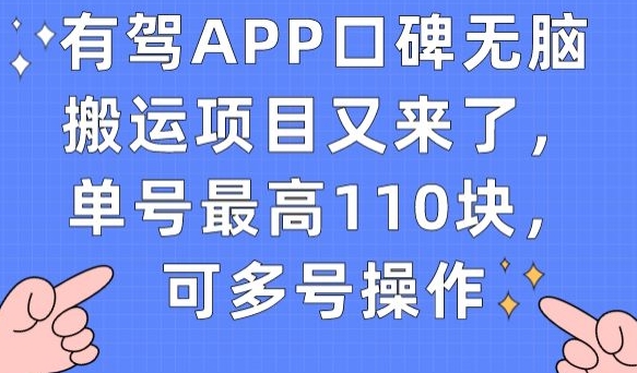 有驾APP口碑无脑搬运项目又来了，单号最高110块，可多号操作-一点通资源网
