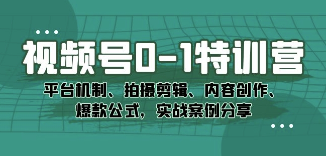 视频号0-1特训营：平台机制、拍摄剪辑、内容创作、爆款公式，实战案例分享-一点通资源网