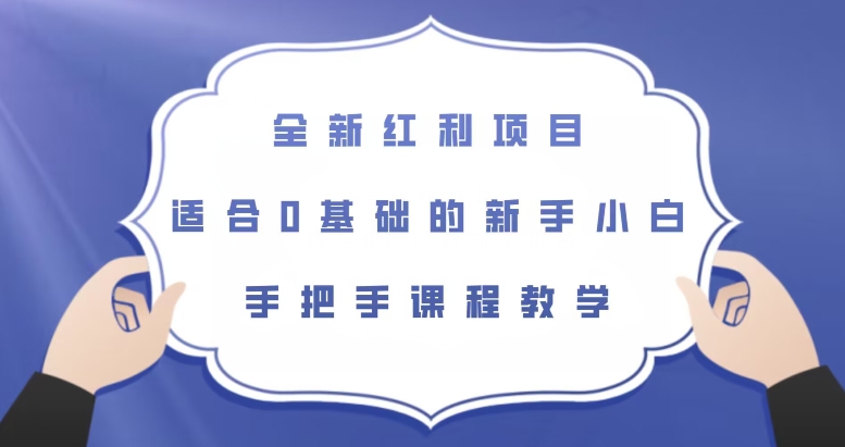 全新红利项目，适合0基础的新手小白，手把手课程教学【揭秘】-一点通资源网