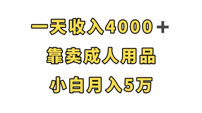 一天收入4000+，靠卖成人用品，小白轻松月入5万【揭秘】-一点通资源网