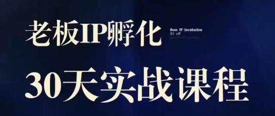 诸葛·2023老板IP实战课，实体同城引流获客，IP孵化必听-一点通资源网