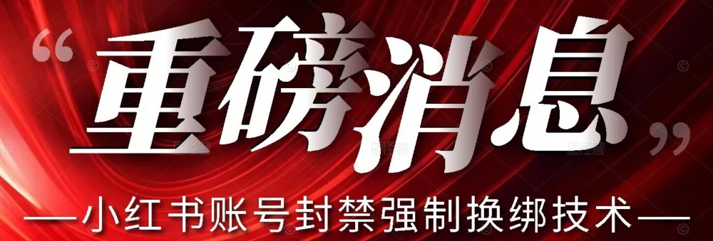 【最新】小红书账号封禁强制换绑技术可日赚300-一点通资源网