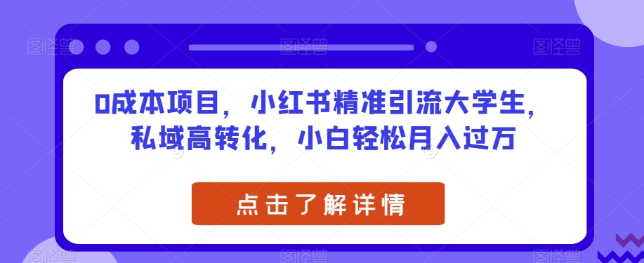 0成本项目，小红书精准引流大学生，私域高转化，小白轻松月入过万【揭秘】-一点通资源网