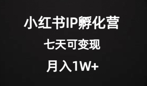 价值2000+的小红书IP孵化营项目，超级大蓝海，七天即可开始变现，稳定月入1W+-一点通资源网
