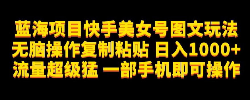 蓝海项目快手美女号图文玩法，无脑操作复制粘贴，日入1000+流量超级猛一部手机即可操作【揭秘】-一点通资源网