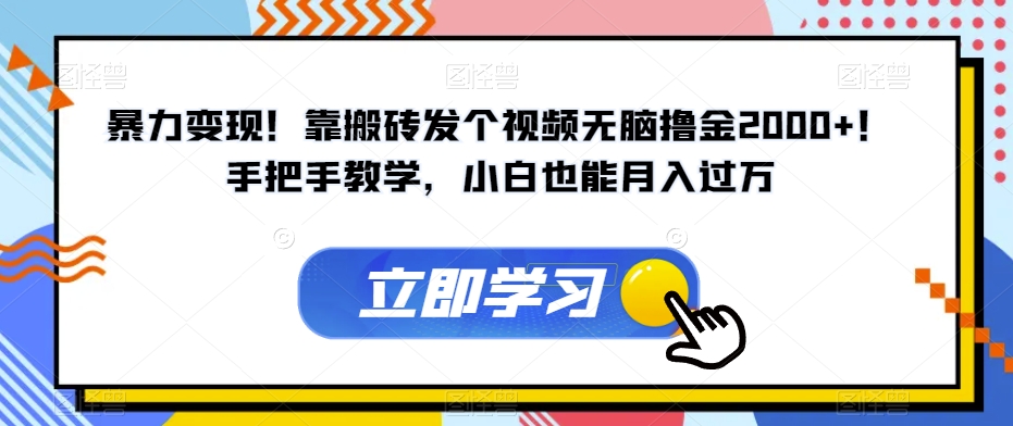 暴力变现！靠搬砖发个视频无脑撸金2000+！手把手教学，小白也能月入过万【揭秘】-一点通资源网