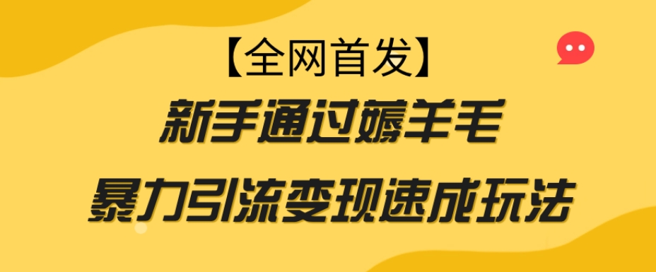 【全网首发】新手通过薅羊毛暴力引流变现速成玩法-一点通资源网