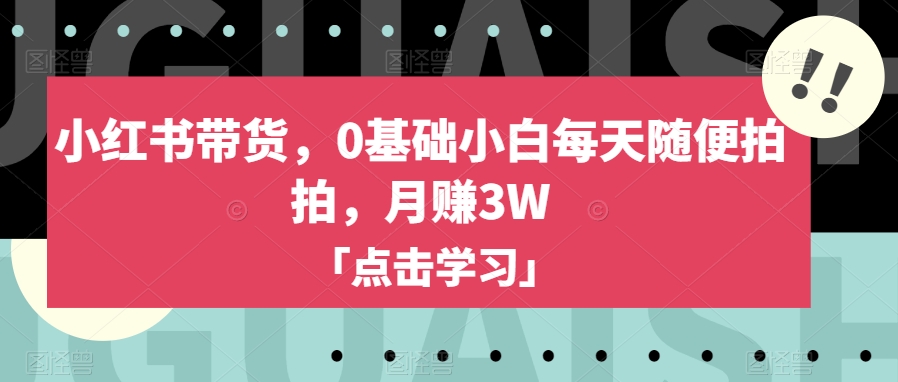 小红书带货，0基础小白每天随便拍拍，月赚3W【揭秘】-一点通资源网