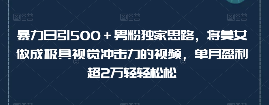 暴力日引500＋男粉独家思路，将美女做成极具视觉冲击力的视频，单月盈利超2万轻轻松松-一点通资源网
