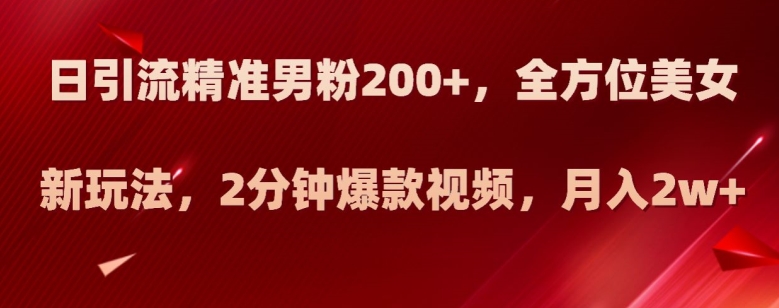 日引流精准男粉200+，全方位美女新玩法，2分钟爆款视频，月入2w+【揭秘】-一点通资源网