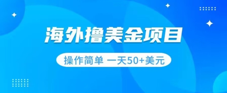 撸美金项目无门槛操作简单小白一天50+美刀-一点通资源网