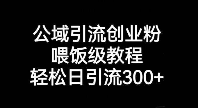 公域引流创业粉，喂饭级教程，轻松日引流300+【揭秘】-一点通资源网