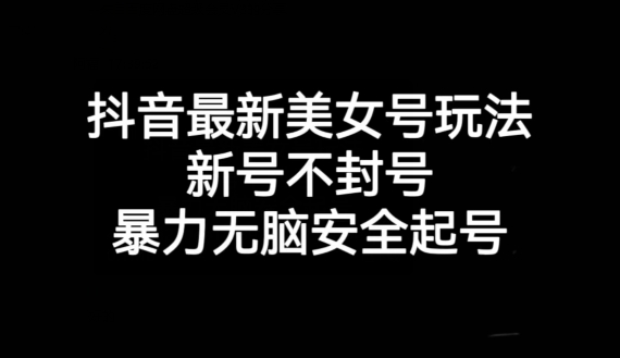 抖音最新美女号玩法，新号不封号，暴力无脑安全起号【揭秘】-一点通资源网