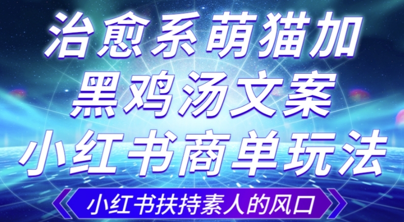 治愈系萌猫加+黑鸡汤文案，小红书商单玩法，3~10天涨到1000粉，一单200左右-一点通资源网
