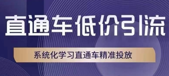 直通车低价引流课，系统化学习直通车精准投放-一点通资源网