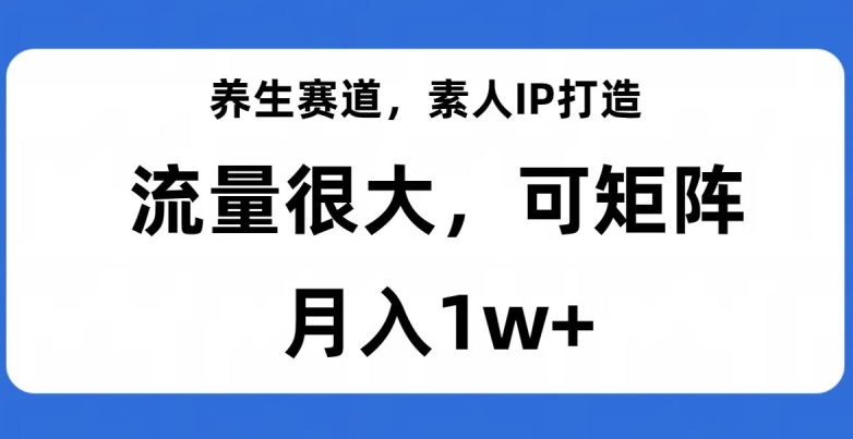 养生赛道，素人IP打造，流量很大，可矩阵，月入1w+【揭秘】-一点通资源网