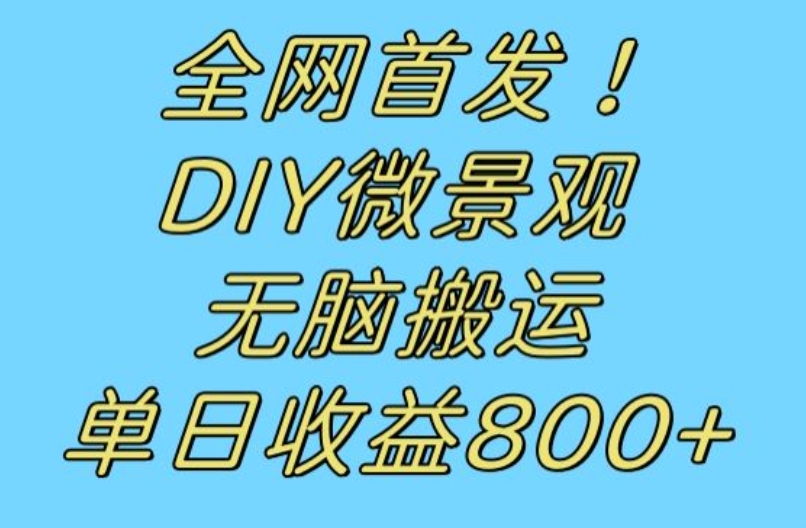 全网首发冷门赛道！DIY微景观，无脑搬运视频，日收益800+【揭秘】-一点通资源网