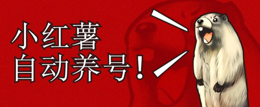 小红书养号秘籍，如何自动涨粉清晰系统标签打造高权重账号【揭秘】-一点通资源网