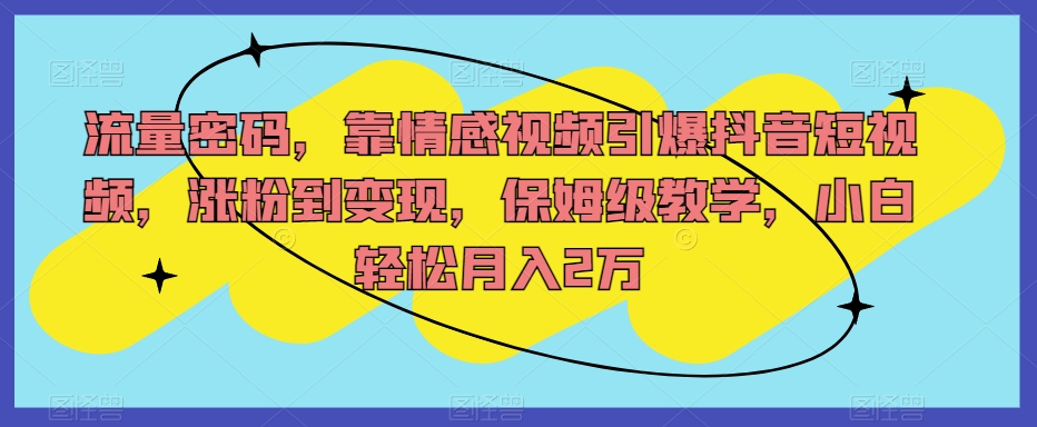 流量密码，靠情感视频引爆抖音短视频，涨粉到变现，保姆级教学，小白轻松月入2万【揭秘】-一点通资源网