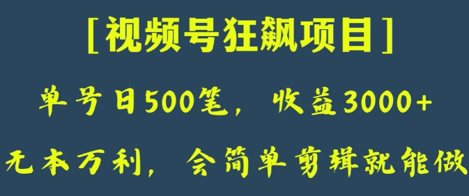 日收款500笔，纯利润3000+，视频号狂飙项目，会简单剪辑就能做【揭秘】-一点通资源网
