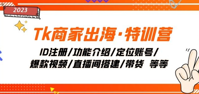 Tk商家出海·特训营：ID注册/功能介绍/定位账号/爆款视频/直播间搭建/带货-一点通资源网