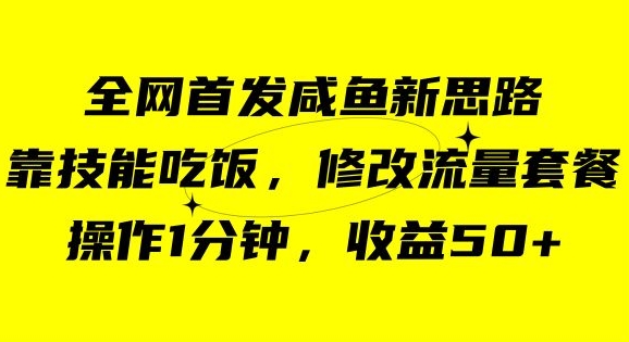 咸鱼冷门新玩法，靠“技能吃饭”，修改流量套餐，操作1分钟，收益50【揭秘】-一点通资源网