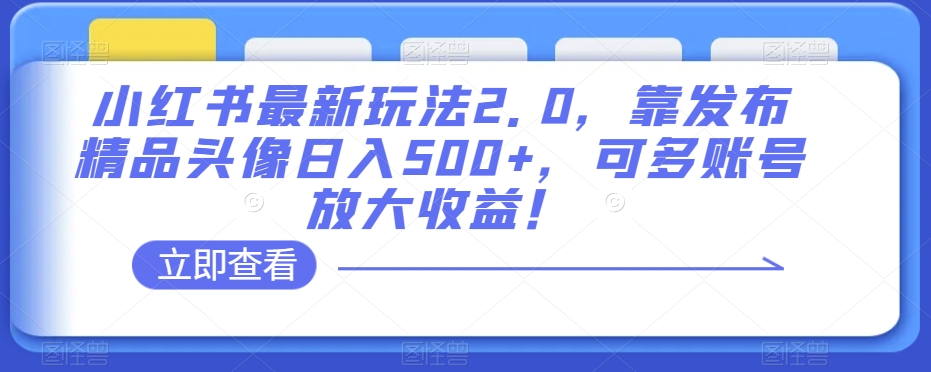 小红书最新玩法2.0，靠发布精品头像日入500+，可多账号放大收益！【揭秘】-一点通资源网
