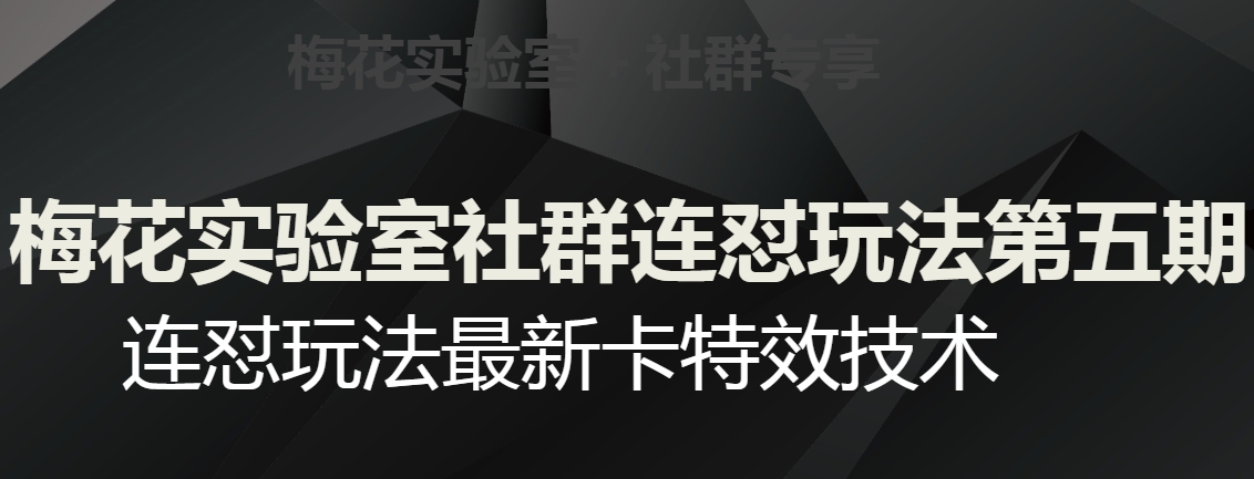 梅花实验室社群连怼玩法第五期，视频号连怼玩法最新卡特效技术-一点通资源网