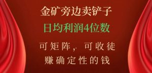 金矿旁边卖铲子,赚确定性的钱,可矩阵,可收徒,日均利润4位数【揭秘】-一点通资源网