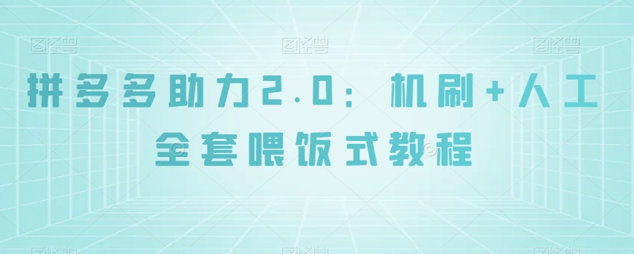 拼多多助力2.0：机刷+人工全套喂饭式教程【揭秘】-一点通资源网