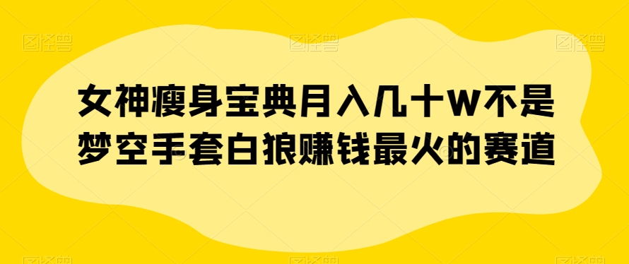 女神瘦身宝典月入几十W不是梦空手套白狼赚钱最火的赛道【揭秘】-一点通资源网