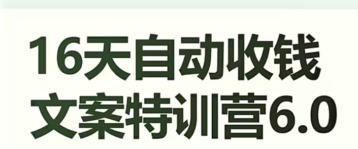 16天自动收钱文案特训营6.0，学会儿每天自动咔咔收钱-一点通资源网