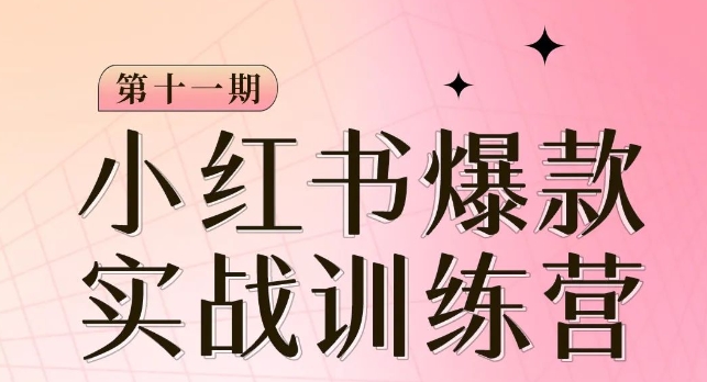 小红书博主爆款训练营第11期，手把手教你从0-1做小红书，从定位到起号到变现-一点通资源网