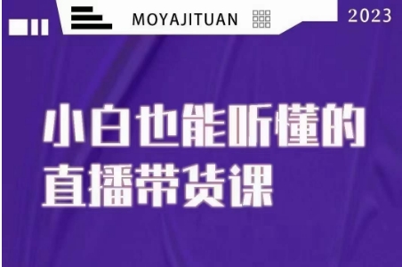 大威本威·能听懂的直播带货课，小白也能听懂，20节完整-一点通资源网
