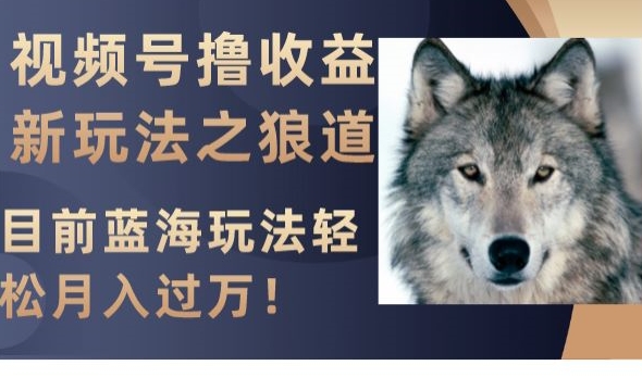 视频号撸收益新玩法之狼道，目前蓝海玩法，轻松月入过万【揭秘】-一点通资源网