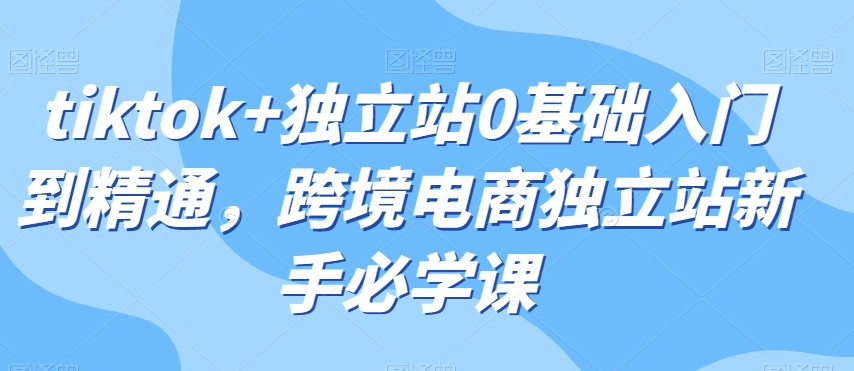 tiktok+独立站0基础入门到精通，跨境电商独立站新手必学课-一点通资源网