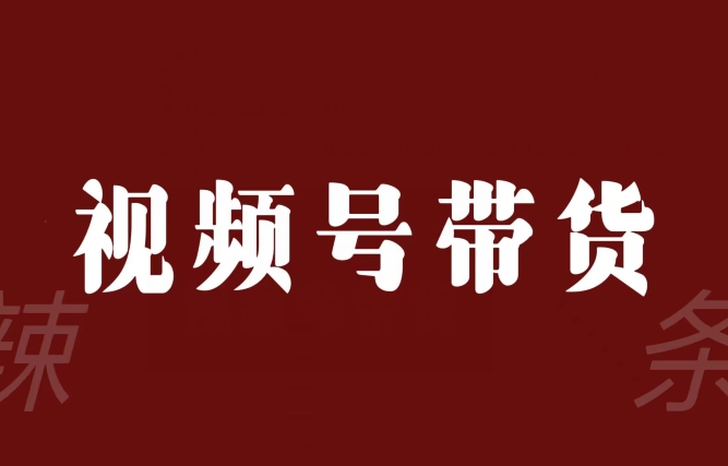 视频号带货联盟，赚信息差的带货钱，只需手机随时随地都可以做！-一点通资源网