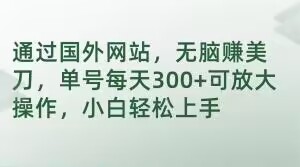 通过国外网站，无脑赚美刀，单号每天300+可放大操作，小白轻松上手【揭秘】-一点通资源网