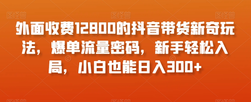 外面收费12800的抖音带货新奇玩法，爆单流量密码，新手轻松入局，小白也能日入300+【揭秘】-一点通资源网